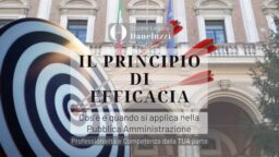 Il Principio di Efficacia nella Pubblica Amministrazione - Diritto Amministrativo - Avvocato a Treviso - Avvocato a Mogliano Veneto - Studio Legale Daneluzzi